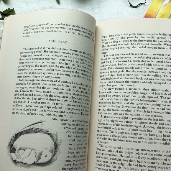 Idle Weeds: The Life of Sandstone Ridge by David Rains Wallace, hardcover ex lib - Picture 15 of 17